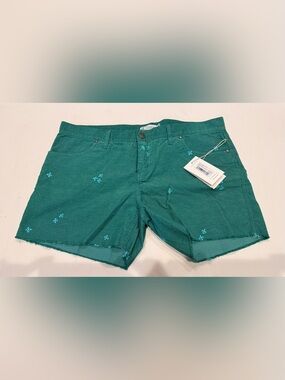 Carve Designs Teal Embroidered Women’s Flat Front Corduroy Shorts